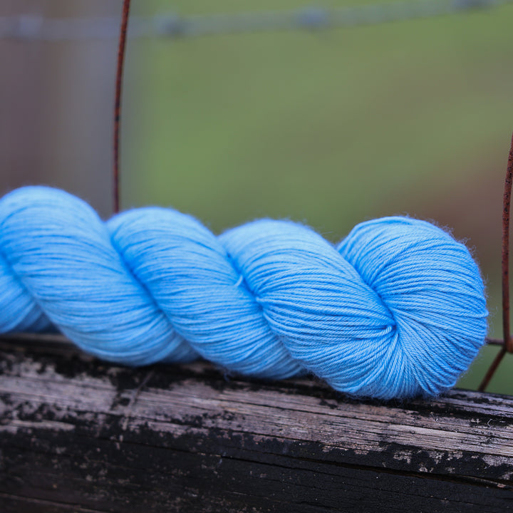 Blue Bonnet