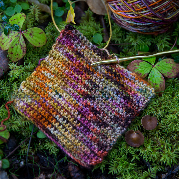 Autumn Brew