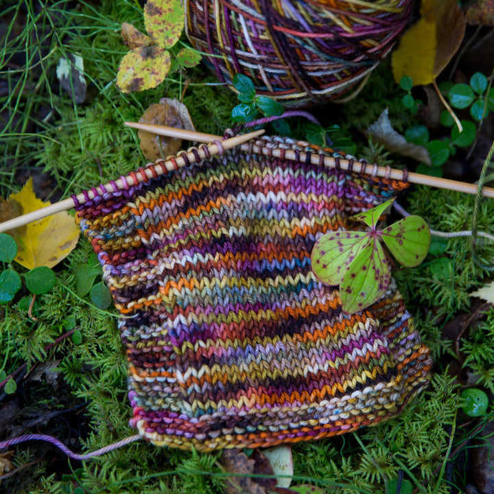 Autumn Brew