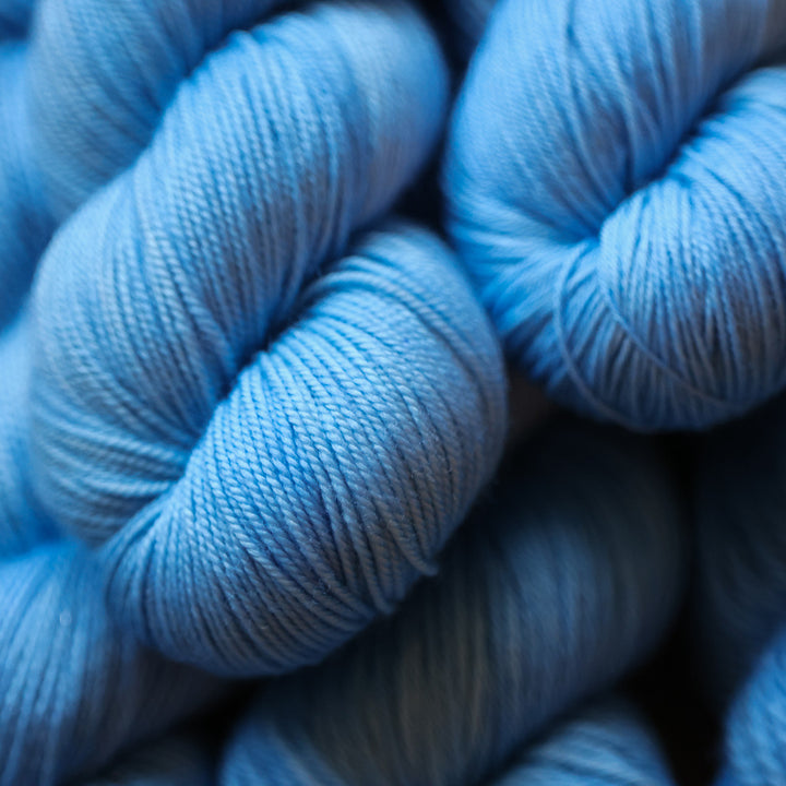 Blue Bonnet