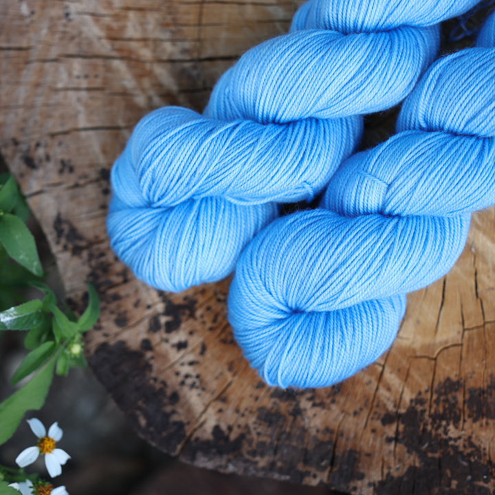 Blue Bonnet