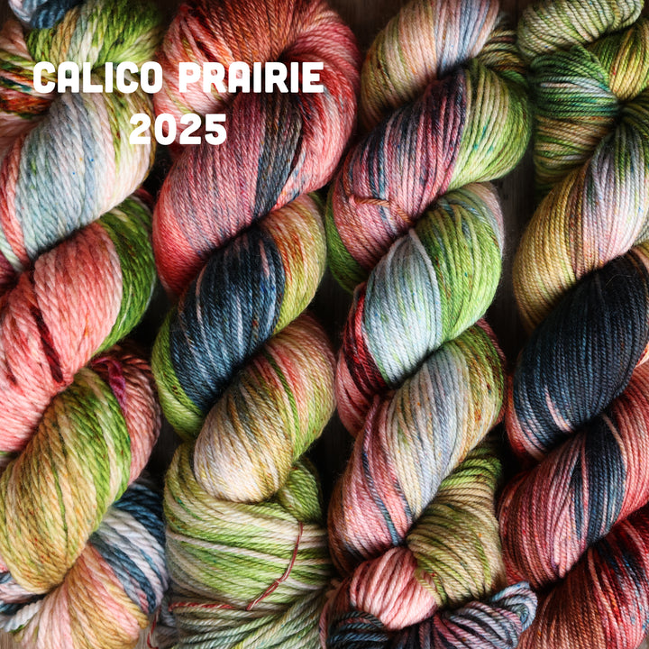 Calico Prairie