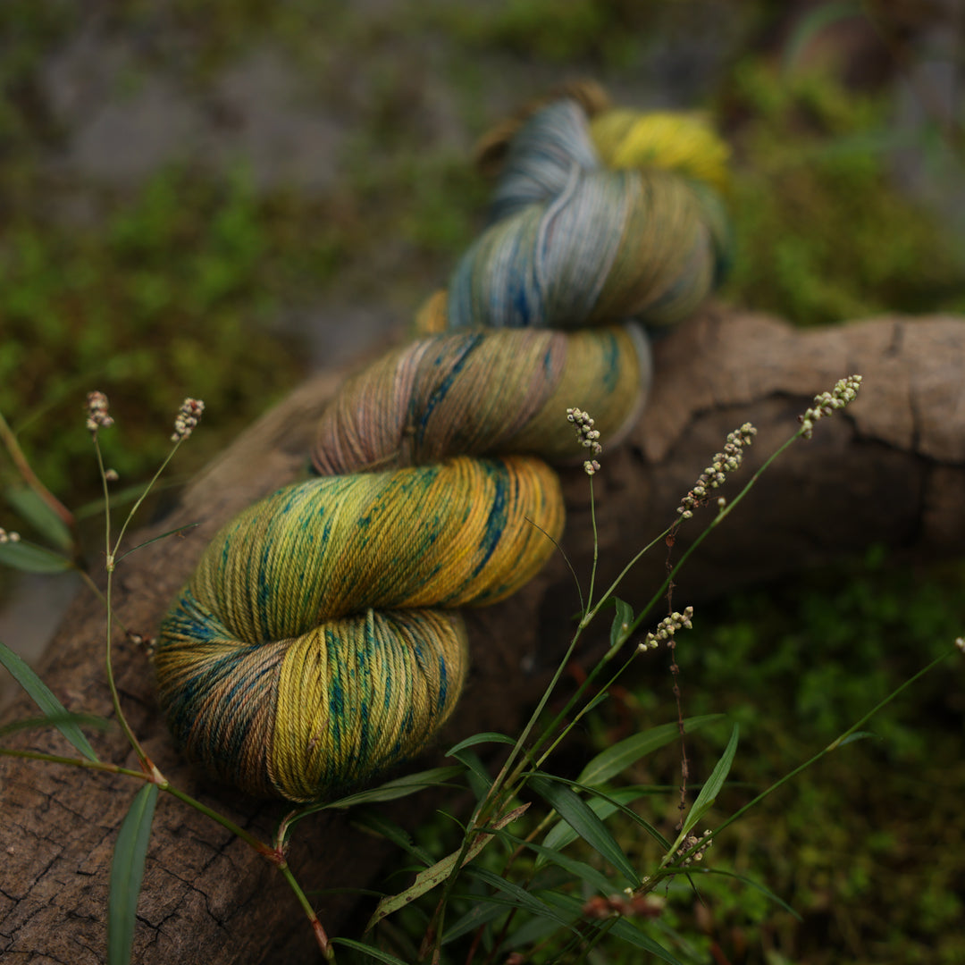 In the Willows