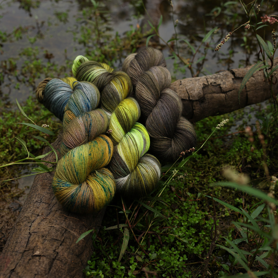 Bayou Collection