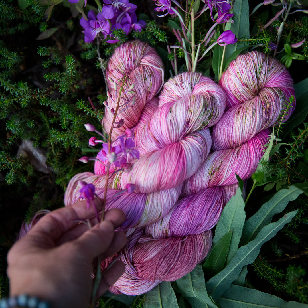 Fireweed