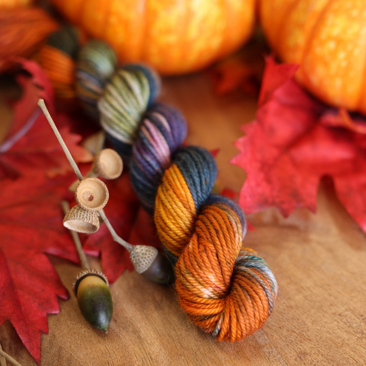 Mini Fingering skein of Upstate yarn on table with fall decor.