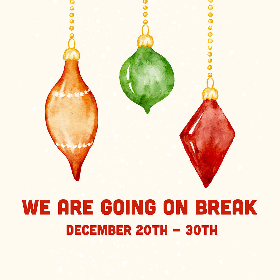 We're going on Christmas break!