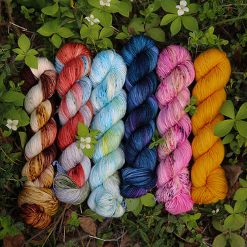 Alaska 2019 Collection