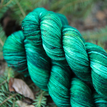 Sitka Spruce