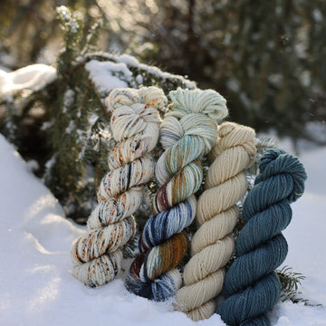 Alaska 2023 Collection