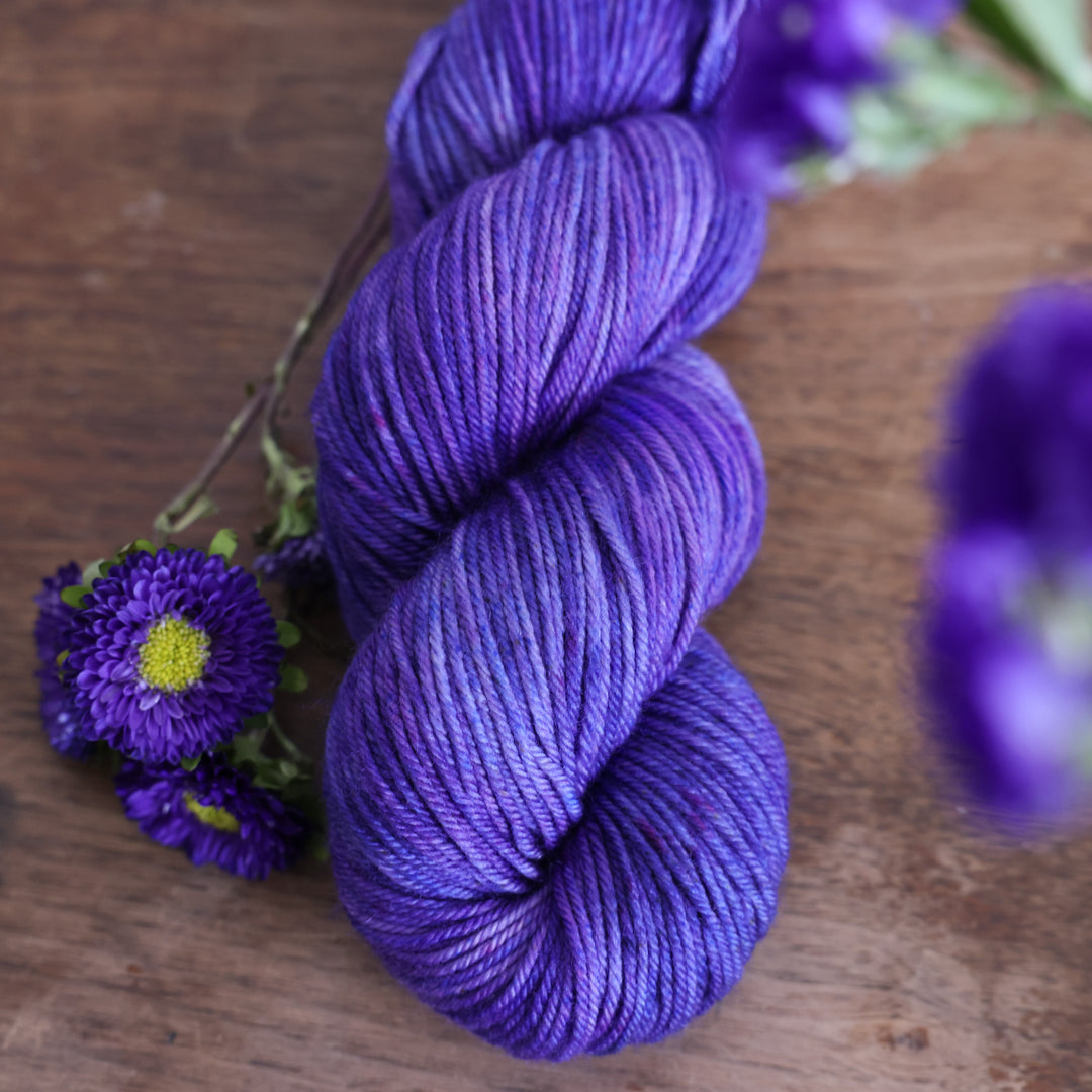 Aster
