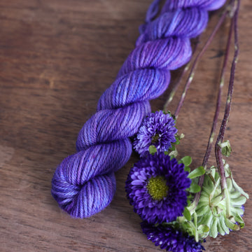 Aster