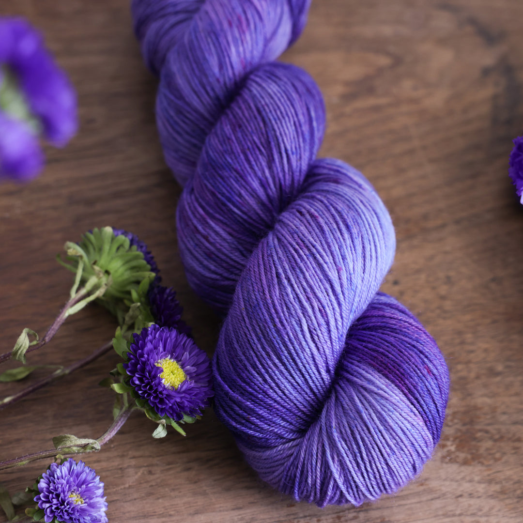 Aster