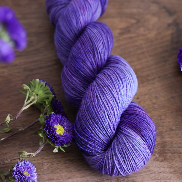 Aster