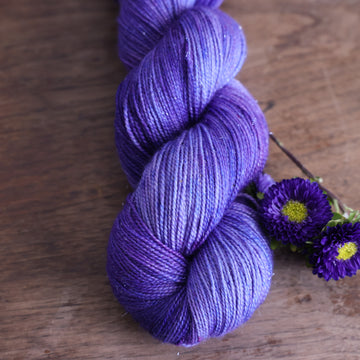 Aster