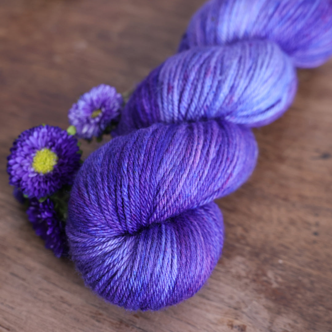 Aster