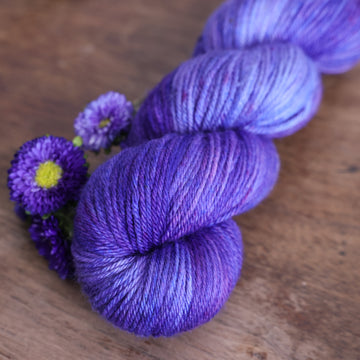 Aster