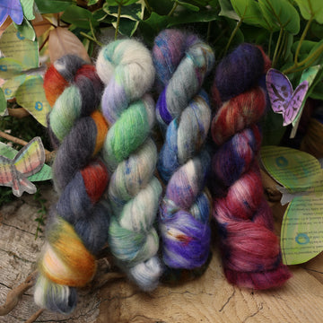 Moths & Butterflies Set