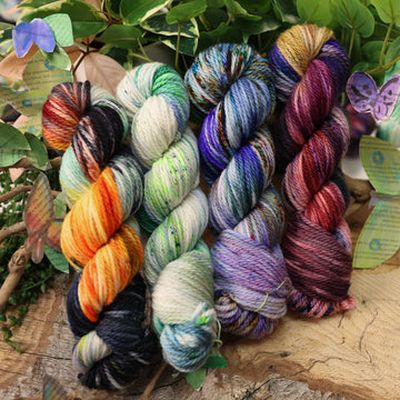 Moths & Butterflies Set