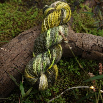 A Bulky yarn skein colored with different shades of green and grey, on top of a tree limb that is hovering over a pond, with different mossy plants around the pond, and around the yarn.