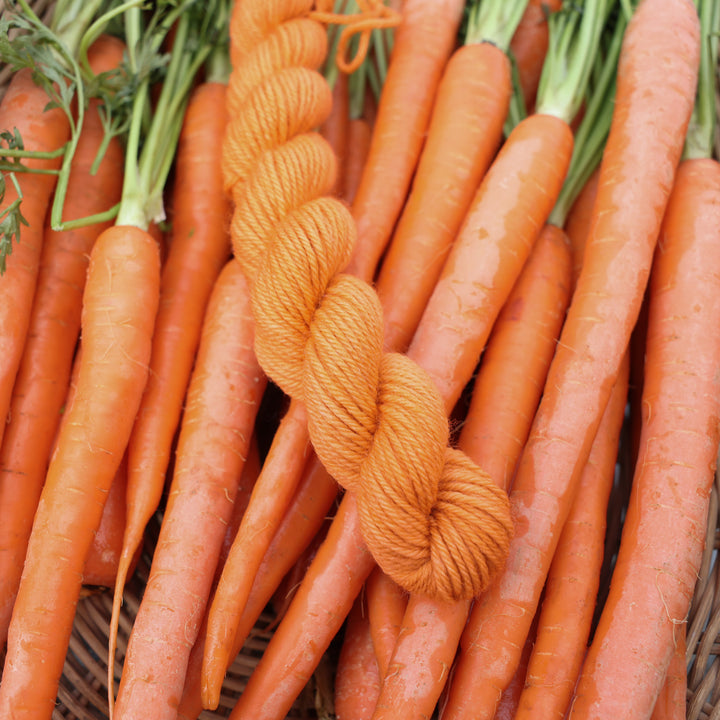 DK mini yarn colored a carrot orange color. This skin is on top of a basket of fresh garden carrots