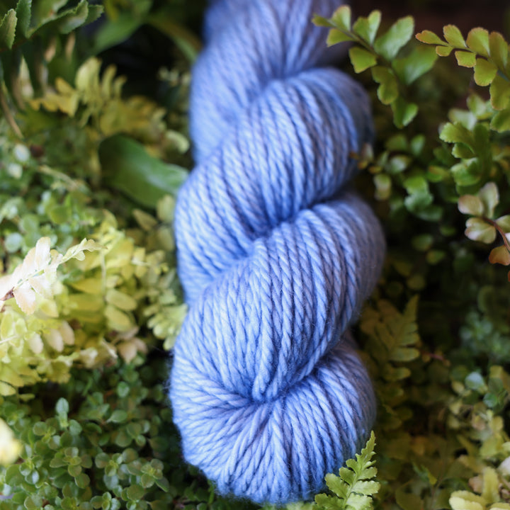 Bulky yarn colored a light blue. This skein is on top of a bed of ferns and plants.