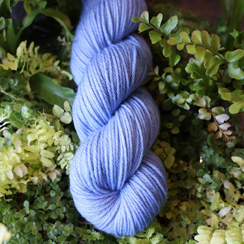 DK yarn colored a light blue. This skein is on top of a bed of ferns and plants.