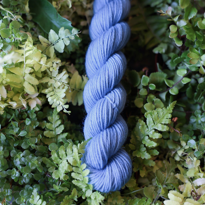 DK mini yarn colored a light blue. This skein is on top of a bed of ferns and plants.
