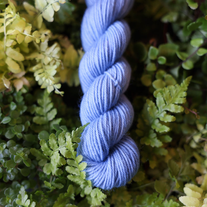fingering mini yarn colored a light blue. This skein is on top of a bed of ferns and plants.