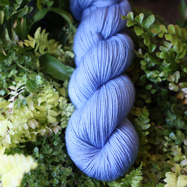 Sport yarn colored a light blue. This skein is on top of a bed of ferns and plants.