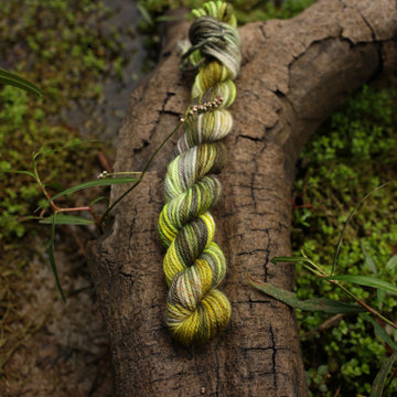 A DK mini yarn skein colored with different shades of green and grey, on top of a tree limb that is hovering over a pond, with different mossy plants around the pond, and around the yarn.