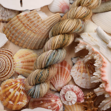 DK mini yarn that is colored with different light browns and creme colors along with some blues and speckles of blue brown and pink. This yarn is on top of a bunch of different types  of light colored shells and sea stars and sand dollars.