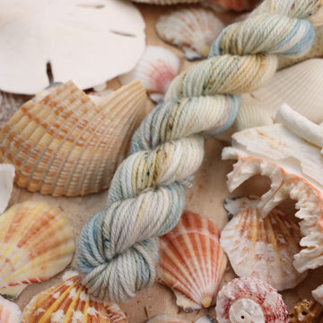 DK mini yarn that is colored a very light blue and cream and has different colored dark brown and dark blue speckles. This yarn is on top of a bunch of different types  of light colored shells and sea stars and sand dollars.
