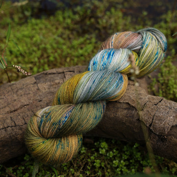 A DK yarn skein colored with green, yellow and grey colors, with blue speckles, on top of a tree limb that is hovering over a pond, with different mossy plants around the pond, and around the yarn.