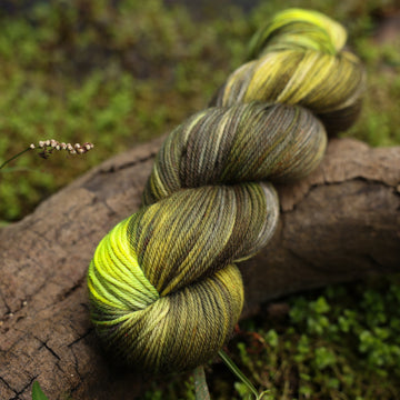 A DK yarn skein colored with different shades of green and grey, on top of a tree limb that is hovering over a pond, with different mossy plants around the pond, and around the yarn.