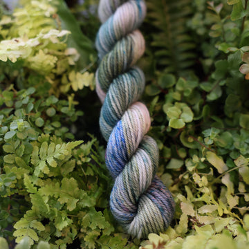 Fern