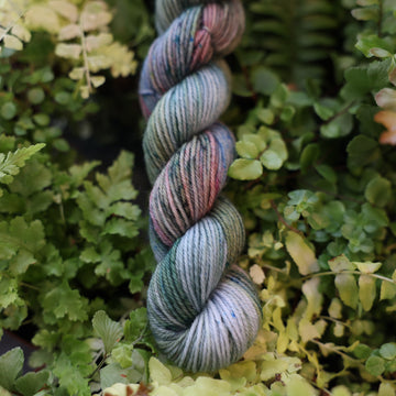 Fern