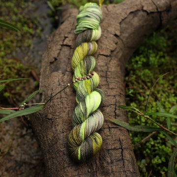 A Fingering mini yarn skein colored with different shades of green and grey, on top of a tree limb that is hovering over a pond, with different mossy plants around the pond, and around the yarn.
