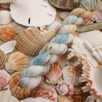 Fingering mini yarn that is colored a very light blue and cream and has different colored dark brown and dark blue speckles. This yarn is on top of a bunch of different types  of light colored shells and sea stars and sand dollars.