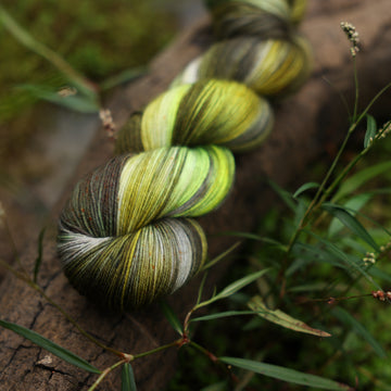 A Fingering yarn skein colored with different shades of green and grey, on top of a tree limb that is hovering over a pond, with different mossy plants around the pond, and around the yarn.