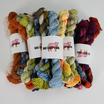 Stash Builders - Wild Card