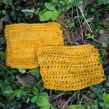 Alaska 2019 Collection