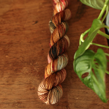 DK mini yarn colored with different shades of dark and light brown with little hints of red and green, on top of a wooden table with some of a plant peeking into the frame.