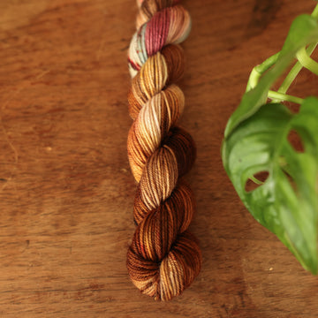 Fingering mini yarn colored with different shades of dark and light brown with little hints of red and green, on top of a wooden table with some of a plant peeking into the frame.