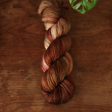Fingering yarn colored with different shades of dark and light brown with little hints of red and green, on top of a wooden table with some of a plant peeking into the frame.