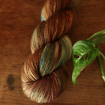 Sparkle fingering yarn colored with different shades of dark and light brown with little hints of red and green, on top of a wooden table with some of a plant peeking into the frame.