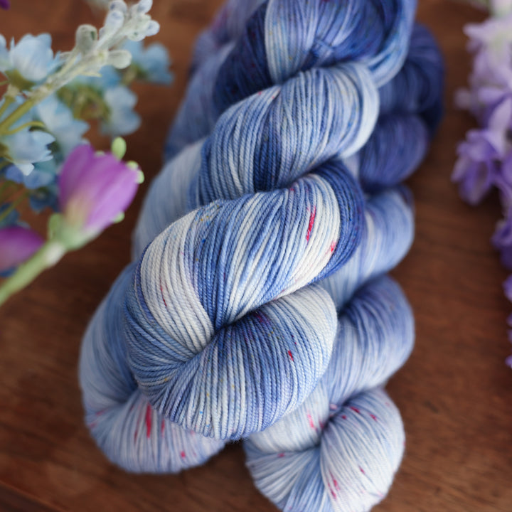 Larkspur