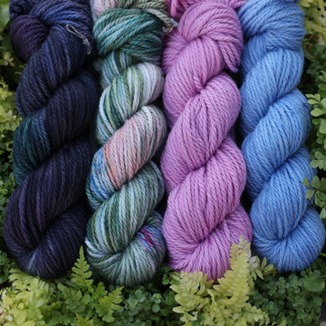 Last Rainforest Collection