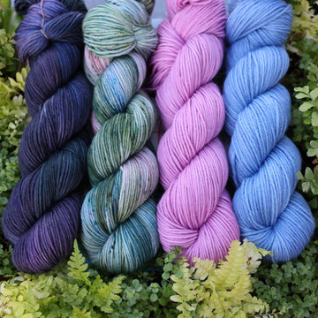 Last Rainforest Collection