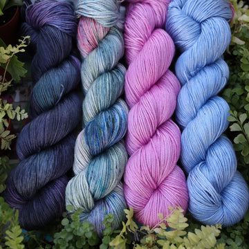 Last Rainforest Collection